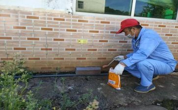 2024年病媒生物防治工作计划7篇