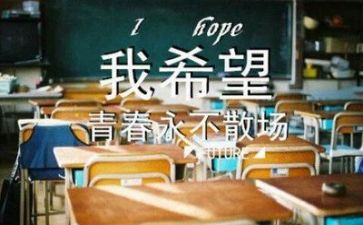 毕业个人总结500字6篇