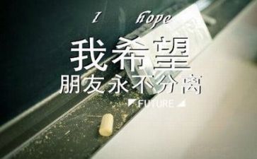 毕业生自我鉴定表模板最新8篇