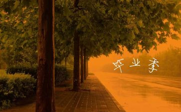 观毕业展心得体会优质7篇
