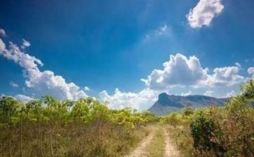 健康感冒我不怕教案5篇