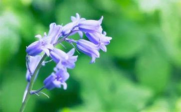 草船借读后感6篇
