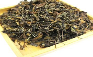 茶活动上的领导讲话稿6篇