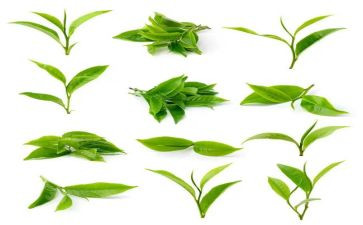 奶茶店活动策划范文8篇