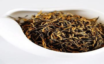 茶话会活动方案通用8篇