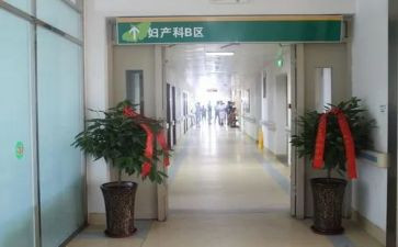 产科护士2024年工作计划参考8篇