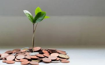 产品设计活动方案5篇