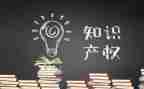 知识产权宣传总结8篇