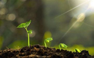 青清成长心得体会推荐5篇