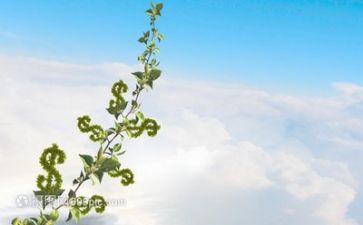 我的成长500作文参考5篇