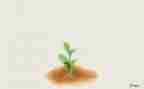 成长类的动作文优秀6篇