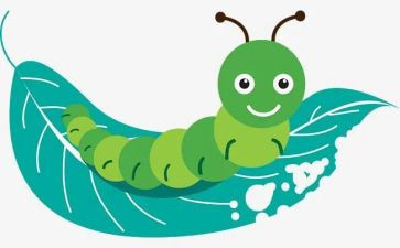 抓昆虫心得体会参考5篇