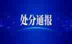 处分纪律条例心得体会模板5篇