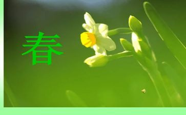 春的作文600字高中作文6篇