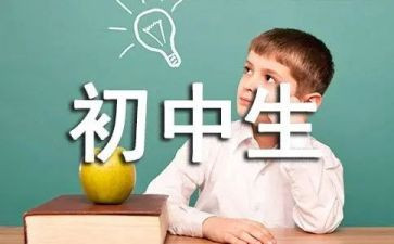 初中个人总结范文优秀5篇
