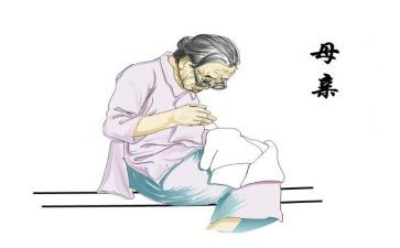 慈母情深教案7篇