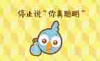 聪明的小鸡教案通用8篇
