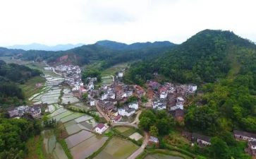 2024村社区工作报告精选8篇