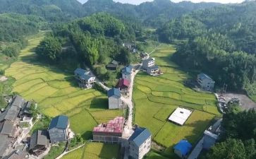 2024年村级个人述职报告5篇