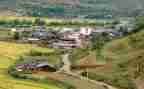 2024村社区工作报告推荐8篇