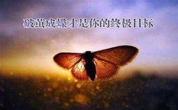 面对挫折作文800字6篇