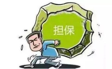担保公司年度总结8篇