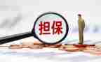 担保公司2024年工作总结模板7篇