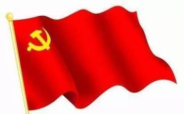 党个人年终总结计划优秀5篇