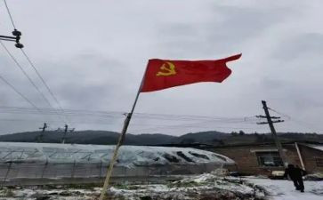 申请党员转正申请书范文优质6篇