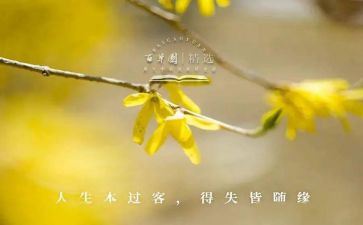 服务得与失心得体会8篇