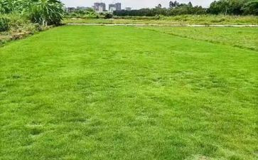 地理教师年度考核总结7篇