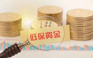 低保工作总结优质8篇