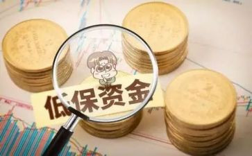 低保工作总结范文5篇