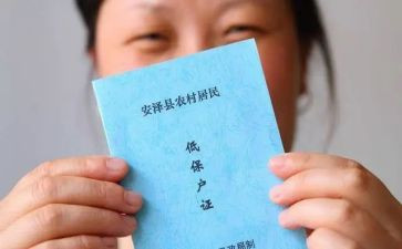 低保工作总结参考7篇