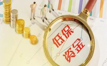 低保工作总结7篇