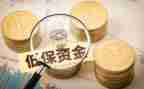 低保工作总结范文5篇