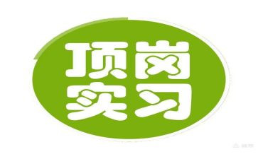 顶岗实习年度工作计划5篇