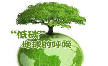 2024年节能低碳活动总结5篇