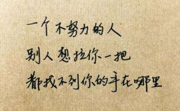 《慢慢地,我懂了》作文6篇