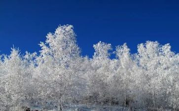 冬天写景的作文5篇