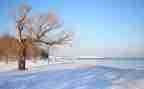 冬天写景的作文优质8篇
