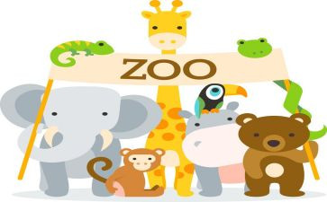 幼儿园动物的脚教案7篇