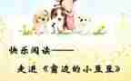 数豆豆小班教案7篇