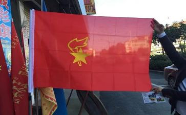 我在队旗下的演讲稿推荐7篇