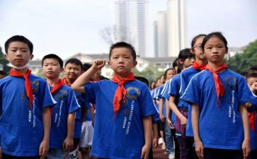 少先队员学年工作计划5篇