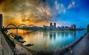 多彩的鱼作文300字7篇