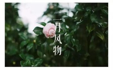 二月销售工作计划6篇