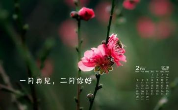 大班十二月的心得体会5篇