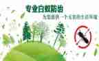 2024年防治艾滋病工作计划8篇