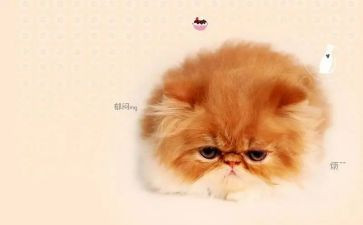 我的烦恼小作文300字最新5篇